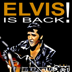 Dengarkan lagu It Feels so Right nyanyian Elvis Presley dengan lirik