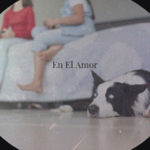 Album En El Amor from 