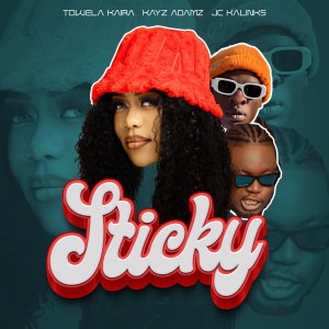 Listen to Sticky song with lyrics from Towela Kaira