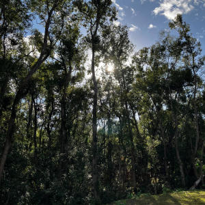 收聽Bigg Purp的Playball, Pt. 2 (Explicit)歌詞歌曲