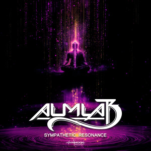 อัลบัม Sympathetic Resonance ศิลปิน 