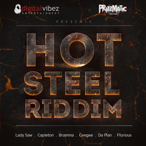 Various Artists的专辑Hot Steel Riddim (Explicit)