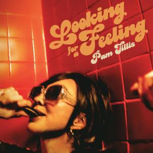 Pam Tillis的專輯Looking for a Feeling
