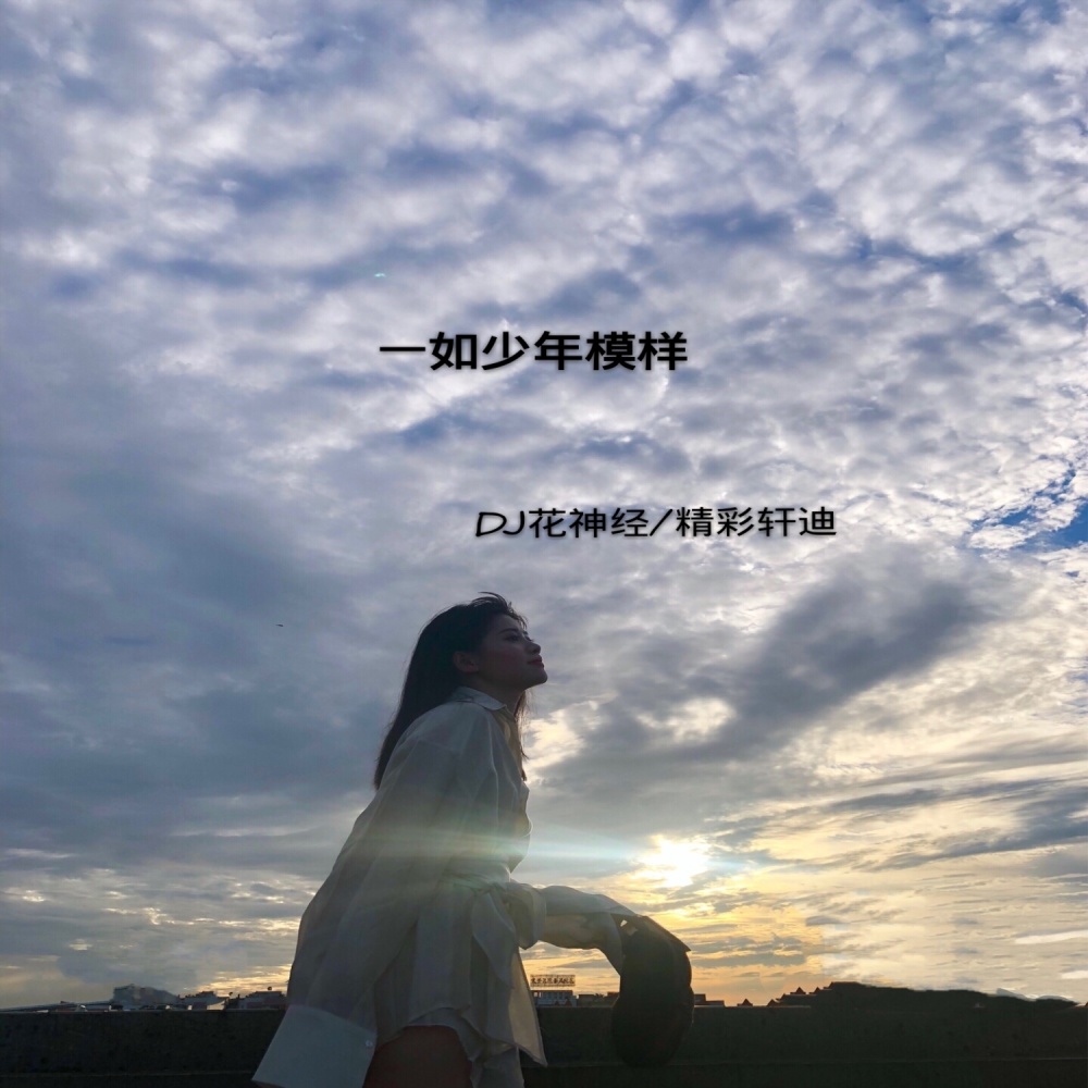 低调不炫耀 (DJ版)