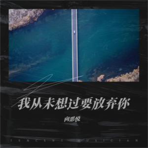 Album 我从未想过要放弃你 from 向思悦