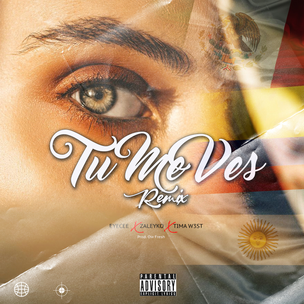 Tu Me Ves (Remix)