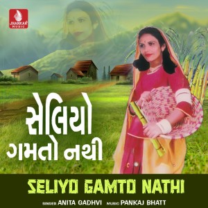 收聽Anita Gadhvi的Pilu Karan Nu Fool歌詞歌曲