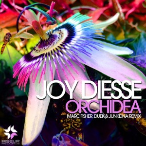 Album Orchidea oleh Joy Diesse