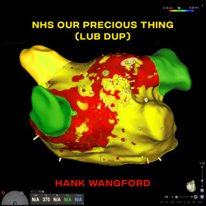 ดาวน์โหลดและฟังเพลง NHS Our Precious Thing (Heartfelt Dub) พร้อมเนื้อเพลงจาก Hank Wangford