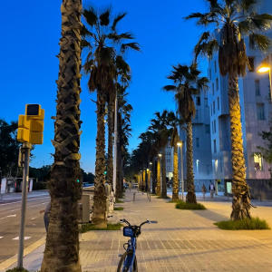 收聽Rich Diggy的Rolls Royce (Explicit)歌詞歌曲