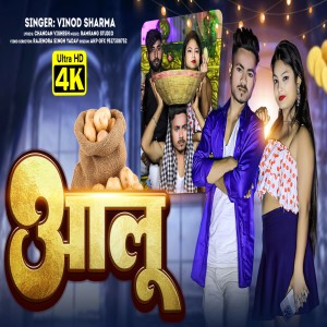 Vinod Sharma的專輯Aalu Lelo
