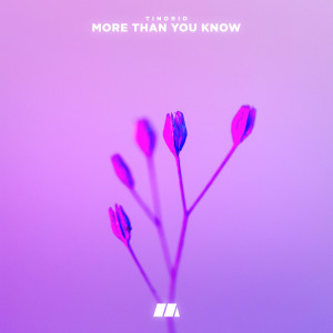 Listen to More Than You Know song with lyrics from Tinorio