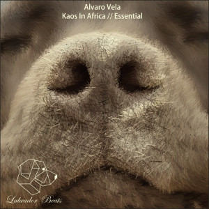 收聽Alvaro Vela的Essential (Original Mix)歌詞歌曲