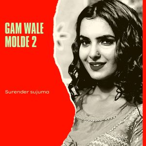 Album Gam Wale Molde 2 from Surender Sajuma