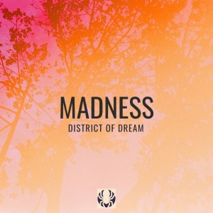 收听District Of Dream的Madness歌词歌曲