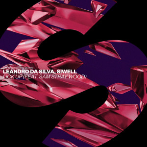 收聽Leandro Da Silva的Lick Up (feat. Sam Stray Wood) [Extended Mix] (Extended Mix)歌詞歌曲