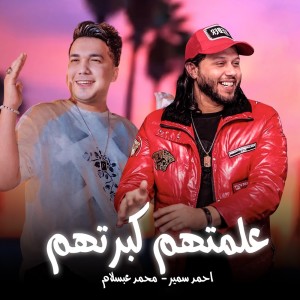 收听Ahmed Samir Hemeda的علمتهم كبرتهم歌词歌曲