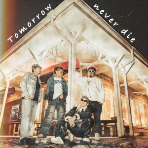 Album Tomorrow never die from Dia Dogs