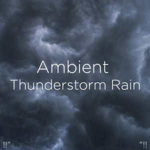 Listen to Heavy Rain & Thunder song with lyrics from Thunderstorm Sound Bank