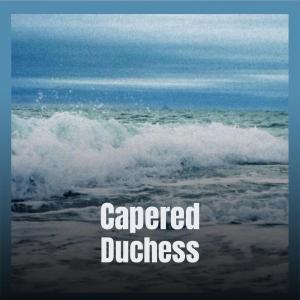 Various的专辑Capered Duchess