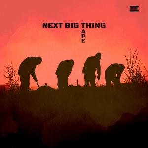 Next Big Thing的專輯NEXT BIG TAPE (Explicit)