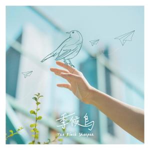 Listen to 季候鳥 song with lyrics from The Black Sheepee