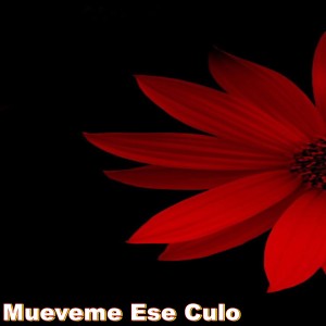 Album Mueveme Ese Culo from Jonathan Beats