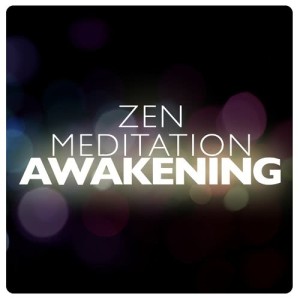 ดาวน์โหลดและฟังเพลง Apollo พร้อมเนื้อเพลงจาก Zen Meditation for Yoga