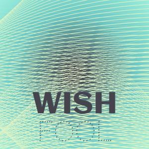 Various的专辑Wish Fool