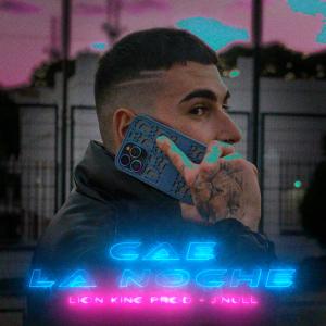 收聽Lion King的Cae la noche歌詞歌曲