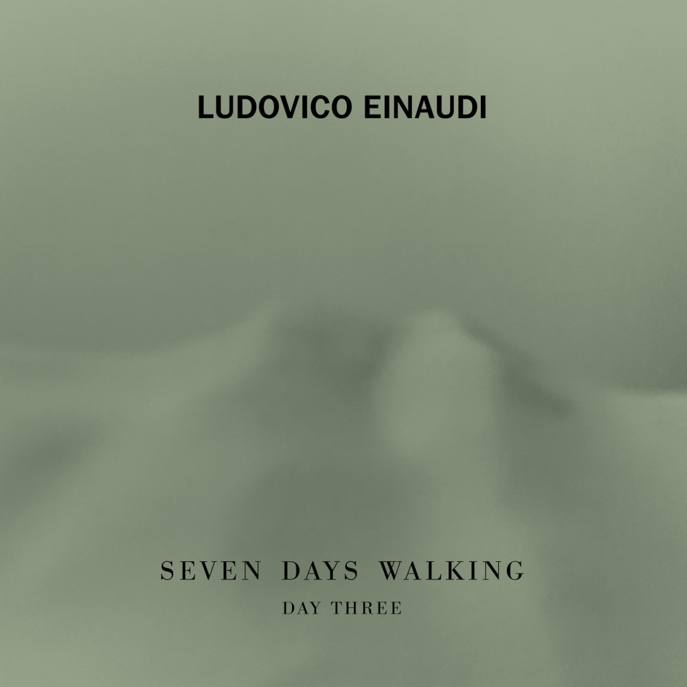 Einaudi: The Path Of Fossils (其他)