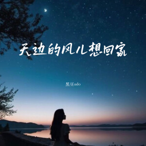 Album 天边的风儿想回家 from 黑豆ado
