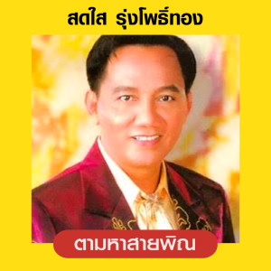 สดใส รุ่งโพธิ์ทอง的專輯ตามหาสายพิณ
