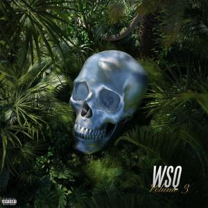 ดาวน์โหลดและฟังเพลง 10 of Mine (feat. Glyd & ViceTriny) (WSQ Version) (Explicit) พร้อมเนื้อเพลงจาก Westside Queens