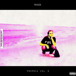 Listen to Vise De Vara song with lyrics from Trvxzen