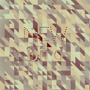 Dengarkan lagu New Bird nyanyian Shannen Sebi dengan lirik