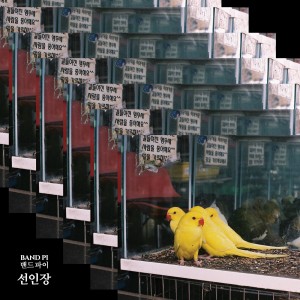 收听Band PI的선인장歌词歌曲