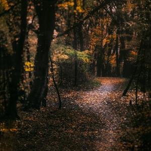Dengarkan Totally Relaxing lagu dari Relaxing Music dengan lirik