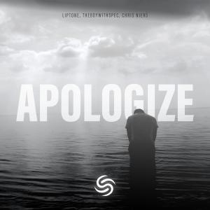 Album Apologize from Liptone