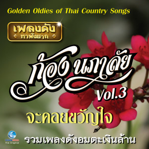 ก้อง นภาลัย的专辑เพลงดังหาฟังยาก "ก้อง นภาลัย", Vol. 3 (Golden Oldies Of Thai Country Songs)