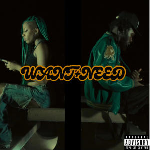 收聽Kadrea Brazil的WANT+NEED (feat. 3TIMES) (Explicit)歌詞歌曲