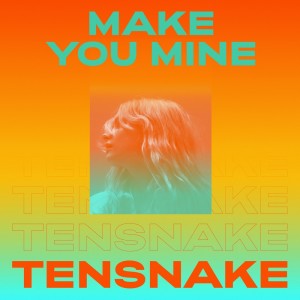 Album Make You Mine from Tensnake