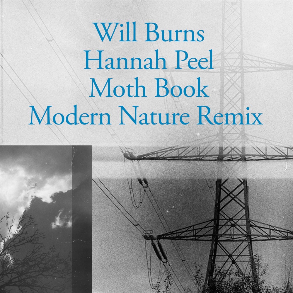 Moth Book (Modern Nature Remix)