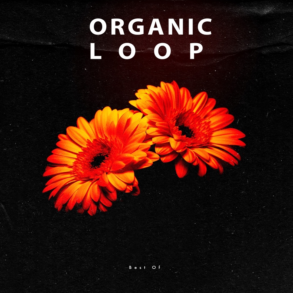 The Rising Wave (Underground Loop Remix)