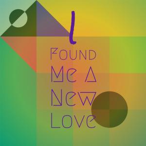 Album I Found Me A New Love from Silvia Natiello-Spiller