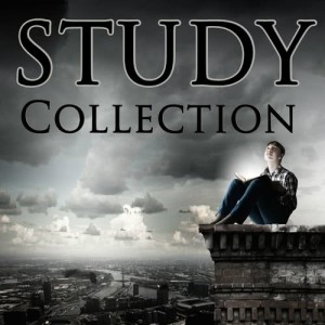 ดาวน์โหลดและฟังเพลง Air on a G String พร้อมเนื้อเพลงจาก Concentration Music Ensemble