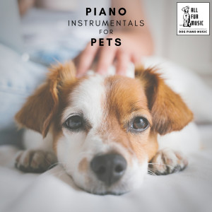 ดาวน์โหลดและฟังเพลง Home Piano for Pets พร้อมเนื้อเพลงจาก Jingle Cats