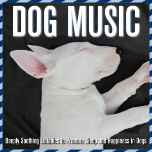 Dog Music: Deeply Soothing Lullabies to Promote Sleep and Happiness in Dogs dari Baby Sleep Dreams