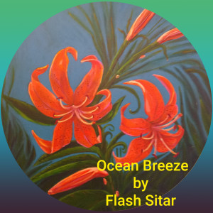 ดาวน์โหลดและฟังเพลง Ocean Breeze พร้อมเนื้อเพลงจาก Flash Sitar