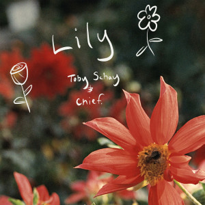 Album Lily oleh Toby Schay